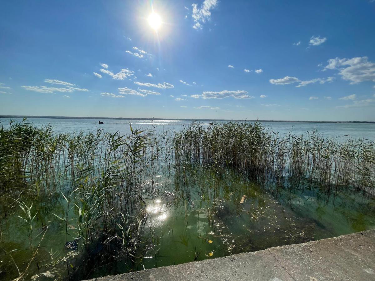 Delize Rent Mamaia Lägenhet Exteriör bild